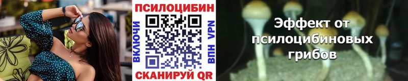 Псилоцибиновые грибы Psilocybe  Котлас 