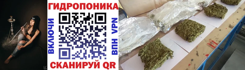 МЕГА зеркало Котлас Бошки марихуана гибрид
